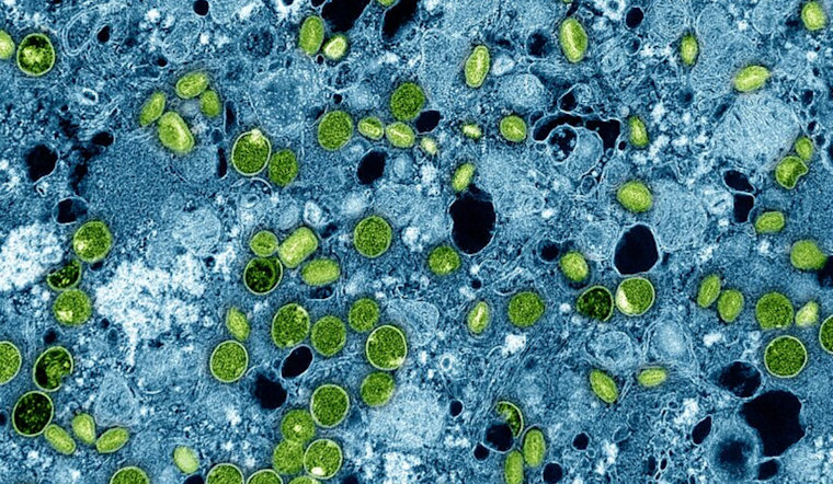 Denver Health Officials Urge Full Vaccination Amid Continued Mpox Circulation