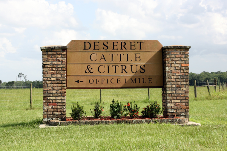 Deseret Ranch Seeks to Integrate 52,450 Acres into Orlando to Foster Long-Term Urban Planning