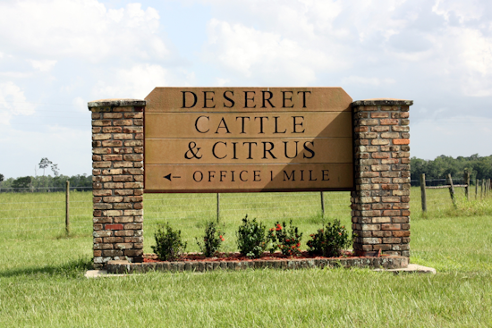 Deseret Ranch Seeks to Integrate 52,450 Acres into Orlando to Foster Long-Term Urban Planning