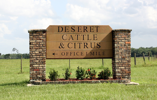 Deseret Ranch Seeks to Integrate 52,450 Acres into Orlando to Foster Long-Term Urban Planning