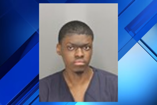 Detroit Man Charged With Sexual Misconduct Involving a Minor at Oakland County Park