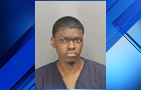 Detroit Man Charged With Sexual Misconduct Involving a Minor at Oakland County Park