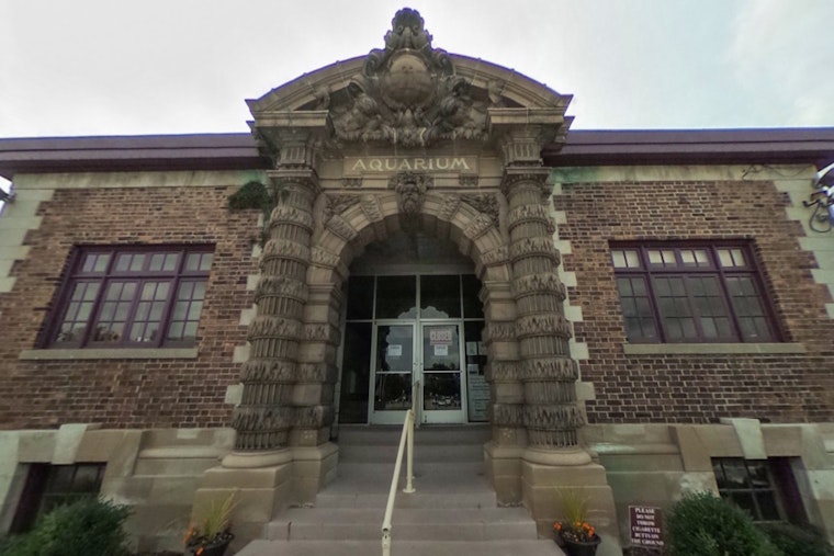 Detroit's Belle Isle Aquarium Celebrates 120 Years with Festive Science Stations and Live DJ