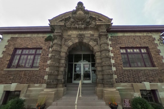 Detroit's Belle Isle Aquarium Celebrates 120 Years with Festive Science Stations and Live DJ