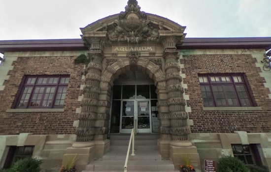 Detroit's Belle Isle Aquarium Celebrates 120 Years with Festive Science Stations and Live DJ