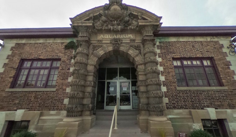 Detroit's Belle Isle Aquarium Celebrates 120 Years with Festive Science Stations and Live DJ