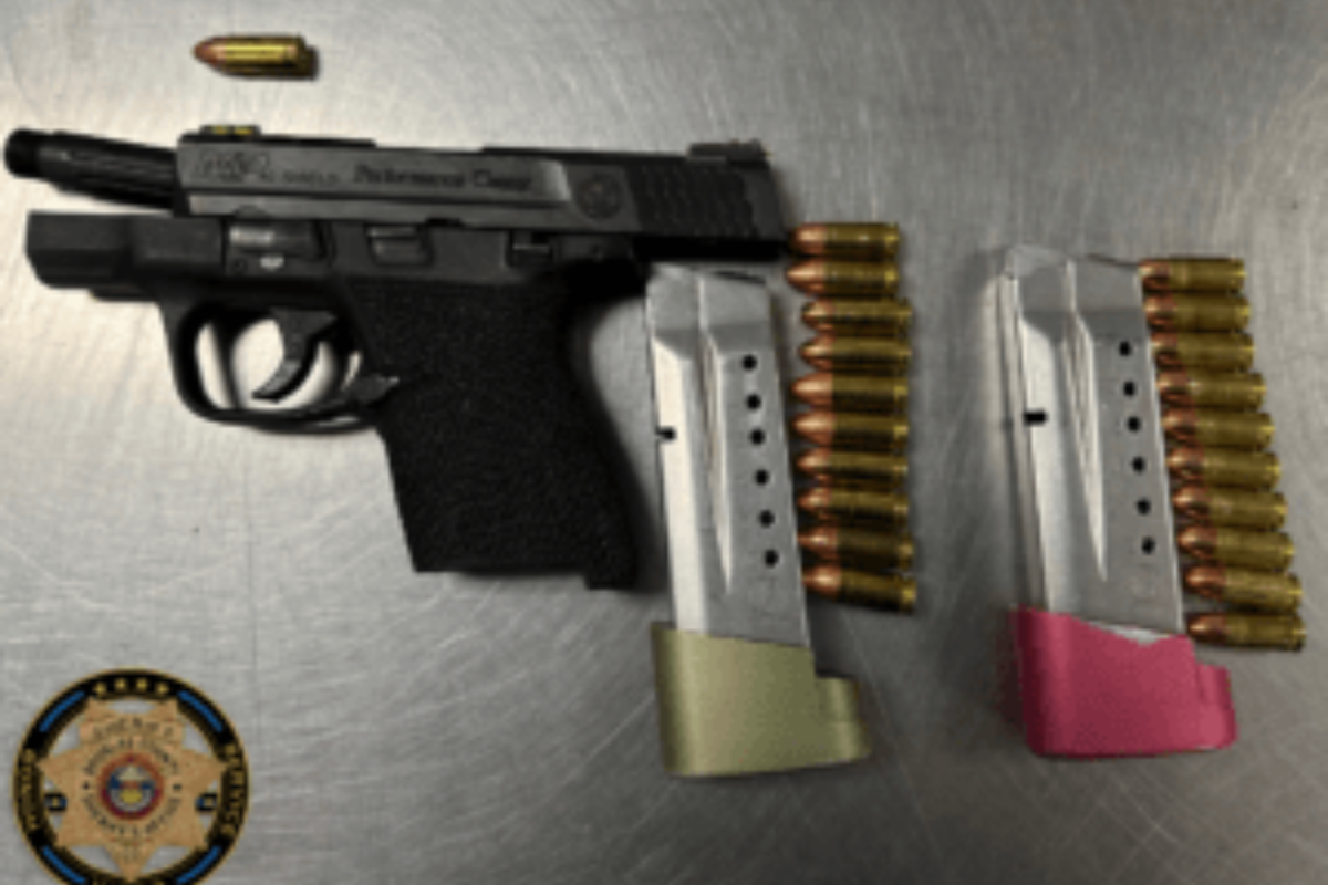 Douglas County Sheriff's Office Cracks Down on Automotive Crime Spree