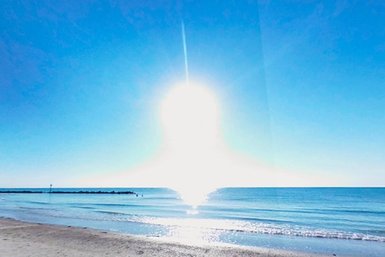Dunedin Community Resists State Plans for Recreational Development at Honeymoon Island State Park
