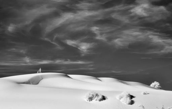 "Dunes & Dreams: A Portrait of White Sands National Park" - Emmitt Booher Unveils Intimate Landscapes at Branigan Cultural Center in Las Cruces
