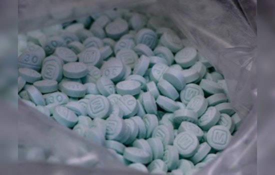Duo Faces a Decade Behind Bars for Fentanyl Pill Bonanza in El Segundo Sting