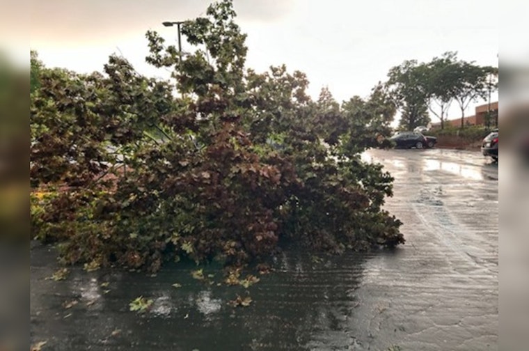 Eden Prairie Rallies Community in Clean-Up Efforts Post-Storm, City Offers Free Yard Waste Disposal