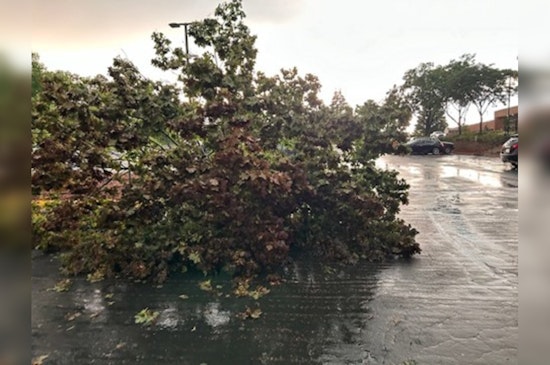 Eden Prairie Rallies Community in Clean-Up Efforts Post-Storm, City Offers Free Yard Waste Disposal