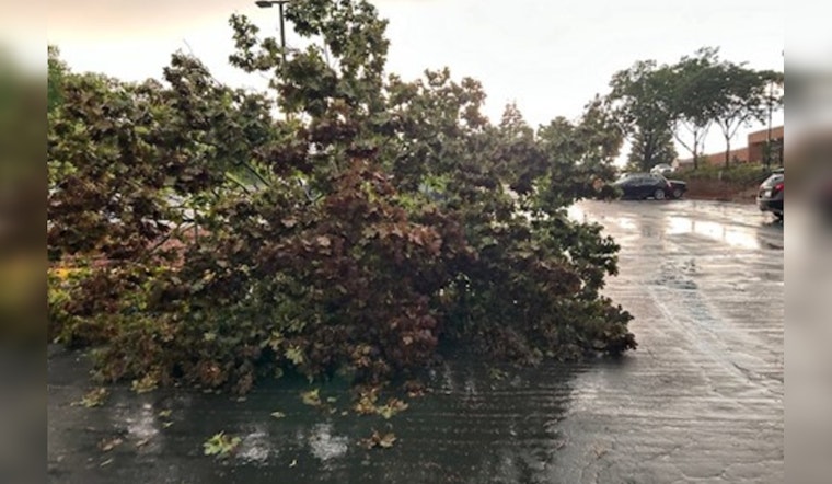 Eden Prairie Rallies Community in Clean-Up Efforts Post-Storm, City Offers Free Yard Waste Disposal