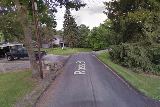 Elizabeth Township Home Engulfed by Fire, No Casualties as Firefighters Save Three Dogs