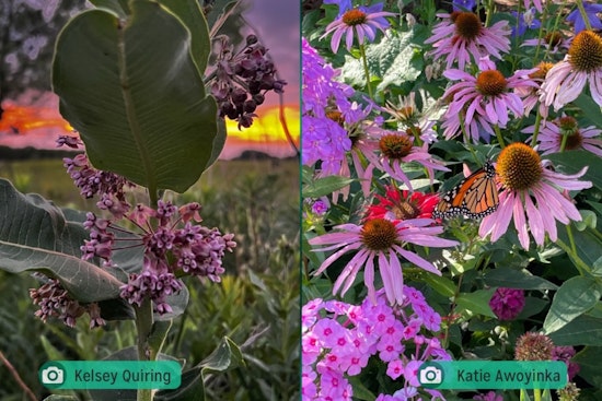 Enter the 'Heart of Chanhassen Photo Contest' for a Chance to Feature on Local Magazine Cover