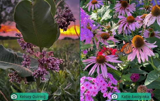 Enter the 'Heart of Chanhassen Photo Contest' for a Chance to Feature on Local Magazine Cover