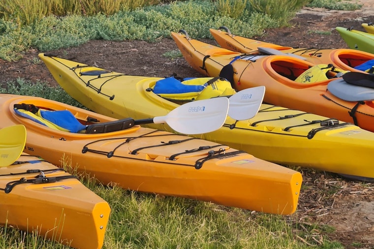 Family Kayak Adventure Awaits at Cleary Lake Regional Park with Outdoor Recreation School Session