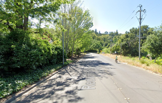 Fatal Pre-Dawn Collision Claims Life on Redwood Road, Napa Community Seeks Answers