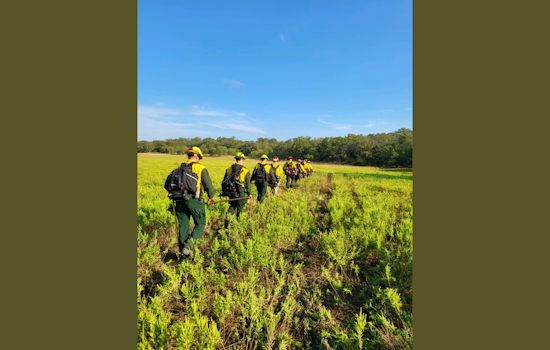 Firefighters Gain Ground on Texas Wildfires, Texas A&M Forest Service Reports Progress on Several Fronts