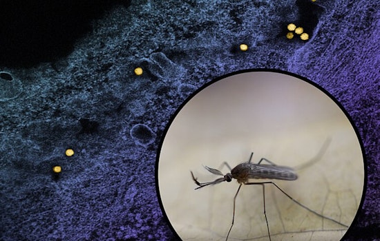 First Human West Nile Virus Infection of the Year Reported in Will County, Illinois