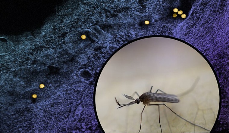 First Human West Nile Virus Infection of the Year Reported in Will County, Illinois