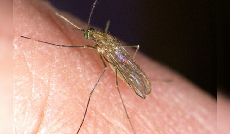 First West Nile Virus Case of 2024 Confirmed in Huntington Beach