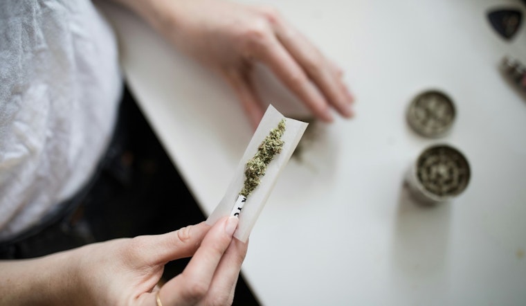 Flawed TBI Marijuana Testing Procedures Cast Doubt on Convictions in Tennessee