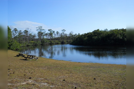Florida's Environmental Agency Halts Park Enhancement Proposals Amid Public Backlash and Governor's Mandate