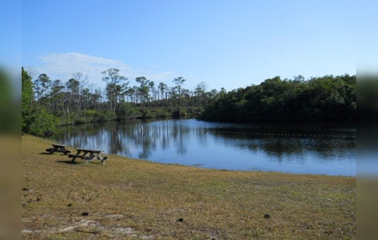 Florida's Environmental Agency Halts Park Enhancement Proposals Amid Public Backlash and Governor's Mandate