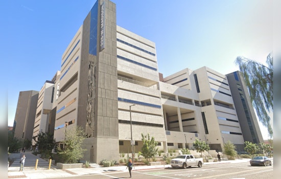 Former Maricopa County Attorney Allister Adel's Private Struggle with Alleged Domestic Violence Revealed