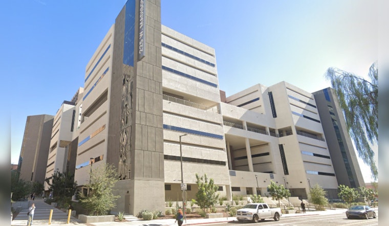 Former Maricopa County Attorney Allister Adel's Private Struggle with Alleged Domestic Violence Revealed