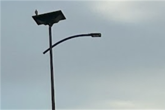 Fort Worth Shines a Light on Sustainability with Solar Streetlight Upgrades Across the City