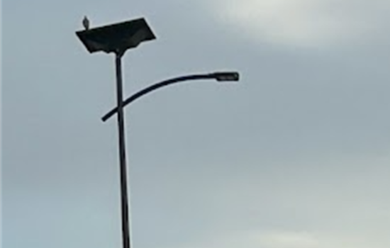 Fort Worth Shines a Light on Sustainability with Solar Streetlight Upgrades Across the City