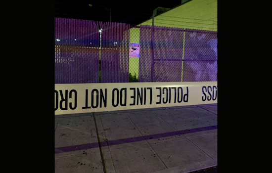 Four Arrested in Connection with Belltown Smash and Grab Burglary: Seattle Police Thwart Early Morning Heist