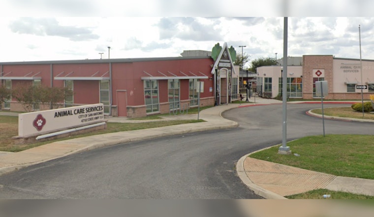 Free Puppy Training Course Offered by San Antonio’s Animal Care Services to Aid New Dog Owners