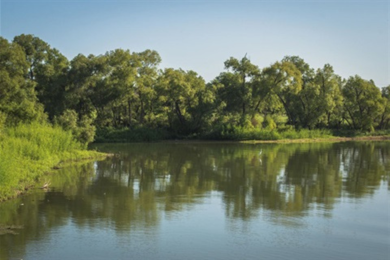 Grand Prairie Offers Free ShadeMakers Tree Care Classes to Cultivate Urban Forestry Skills