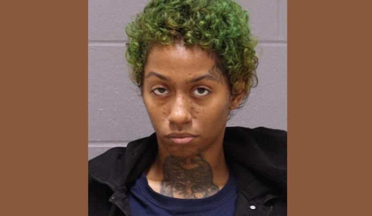Grand Rapids Mother Charged with Felony Murder in Death of Toddler, Twin Brother in Critical Condition