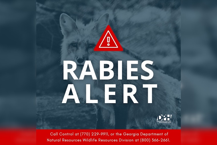 Griffin on Alert: Second Fox Confirmed Rabid as Officials Urge Pet Vaccinations and Caution