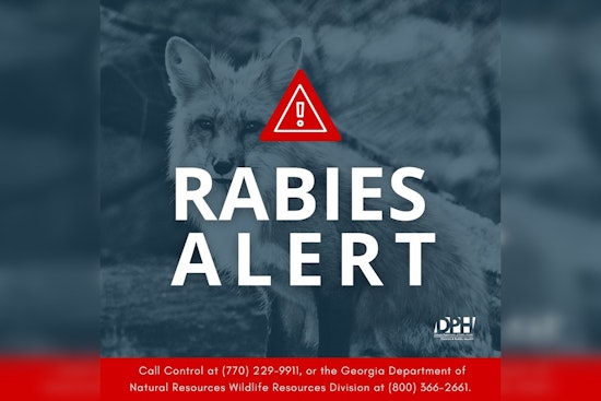 Griffin on Alert: Second Fox Confirmed Rabid as Officials Urge Pet Vaccinations and Caution