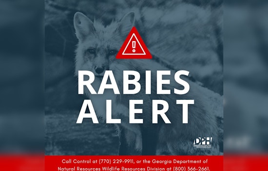 Griffin on Alert: Second Fox Confirmed Rabid as Officials Urge Pet Vaccinations and Caution