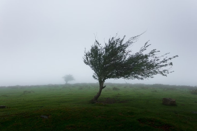 Gusty Winds and Cooler Temps Sweep Las Vegas, NWS Issues Advisory for Lake Mead, Mohave Area