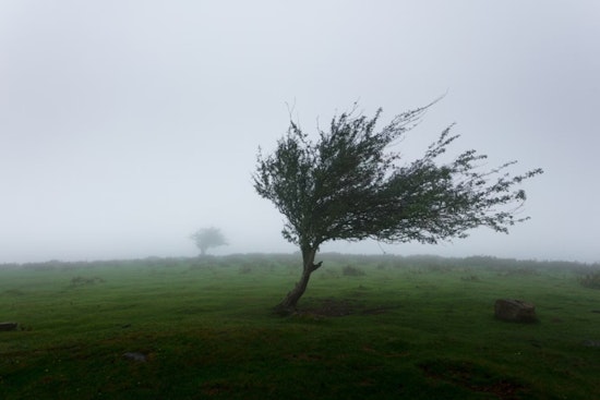 Gusty Winds and Cooler Temps Sweep Las Vegas, NWS Issues Advisory for Lake Mead, Mohave Area