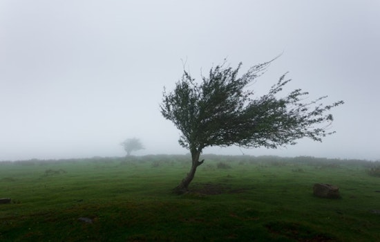 Gusty Winds and Cooler Temps Sweep Las Vegas, NWS Issues Advisory for Lake Mead, Mohave Area