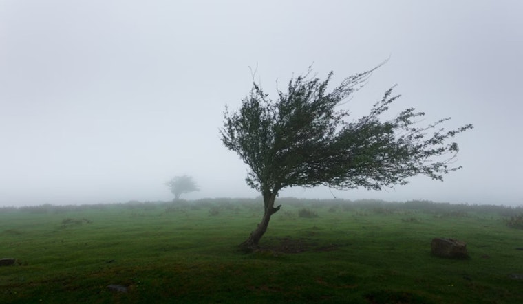 Gusty Winds and Cooler Temps Sweep Las Vegas, NWS Issues Advisory for Lake Mead, Mohave Area