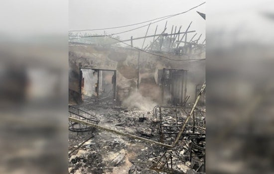 Haines City Home Ravaged by Fire After Lightning Strike, Family Dog Perishes