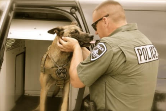 Haltom City Says Farewell to Beloved K9 Officer Filo After Years of Dedicated Service