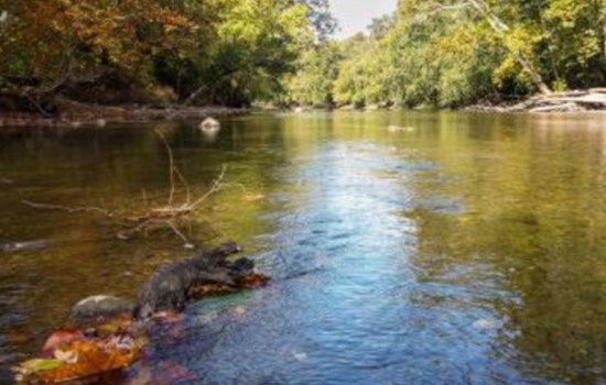 Hamilton County Health Department and Indiana Officials Dive into River Health with Hoosier Riverwatch Program