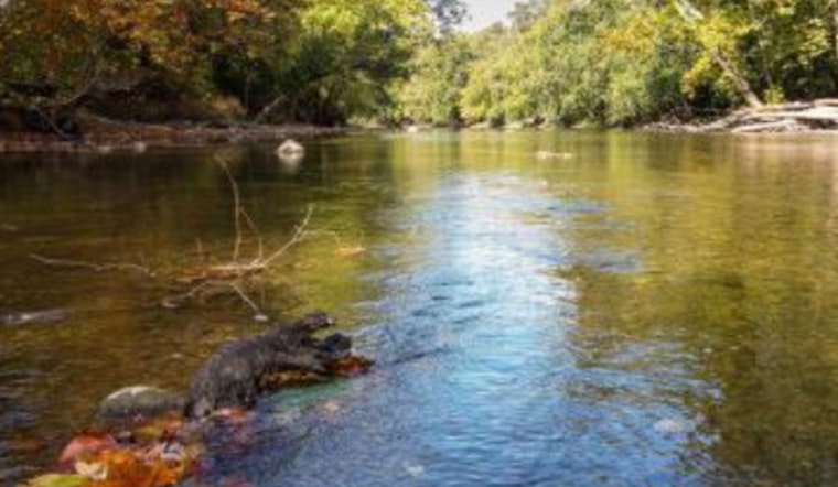 Hamilton County Health Department and Indiana Officials Dive into River Health with Hoosier Riverwatch Program