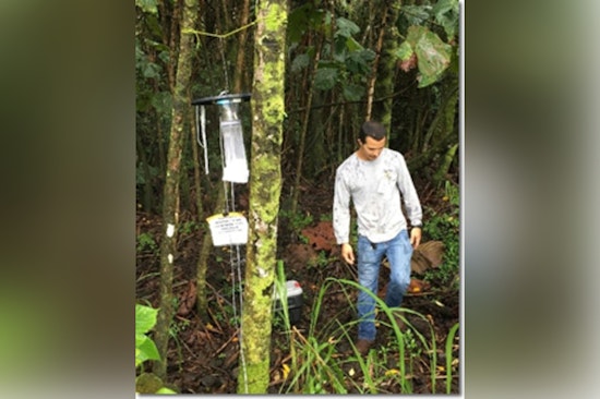 Hāna, Maui Battles Dengue Fever Case with Vector Control and Prevention Efforts Underway