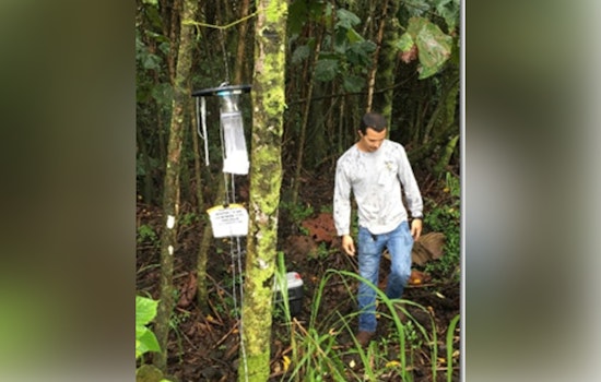 Hāna, Maui Battles Dengue Fever Case with Vector Control and Prevention Efforts Underway